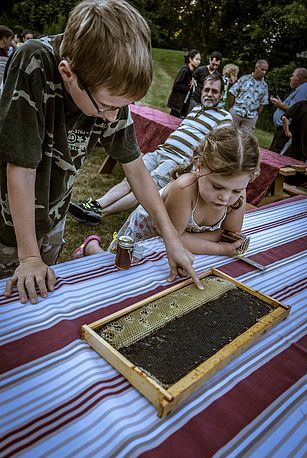 4890c2_5a2ffa3a37ab436d8f6ae2a5d2ea7b39