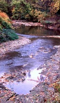 creek (1)